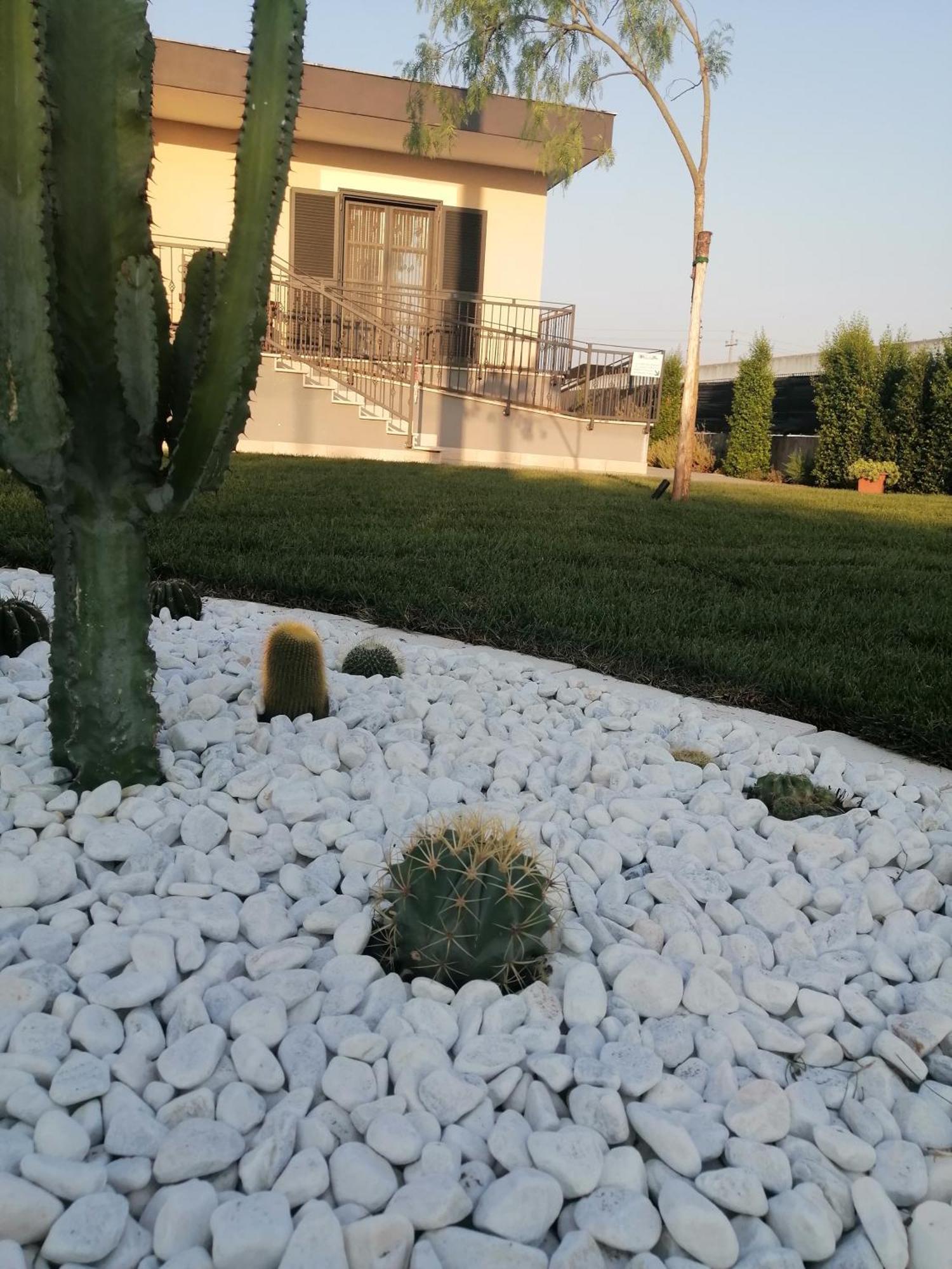 La Casa Del Borgo-Intero Appartamento Latina Kültér fotó